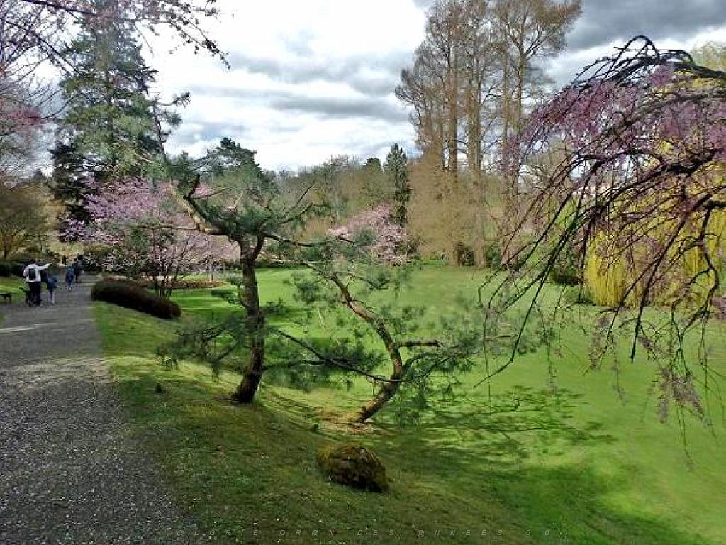 149 PARC ORIENTAL DE MAULEVIER MAINE ET LOIRE 2016 N0_000041.jpg